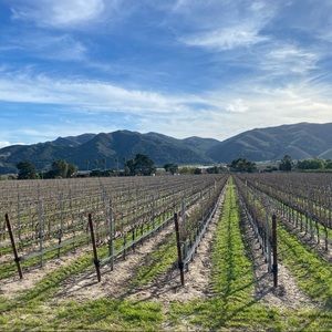 Meet your Posher, Courtney